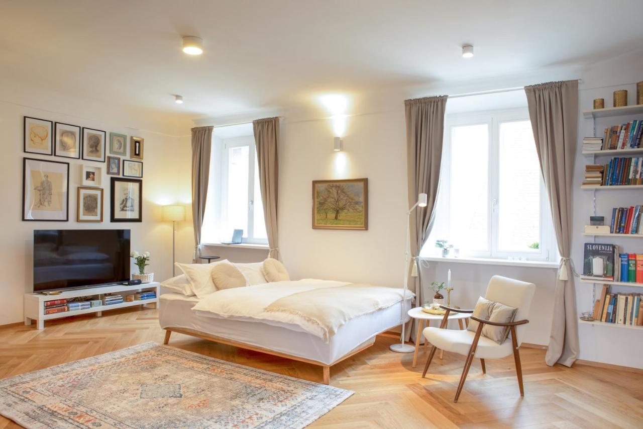 Stylish Apartment In Historical Center Любляна Экстерьер фото